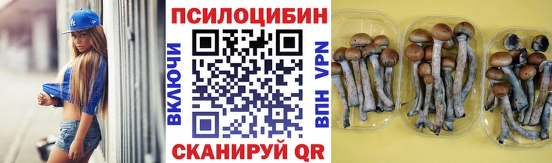 Псилоцибиновые грибы Cubensis  ОМГ ОМГ маркетплейс  Усть-Лабинск 
